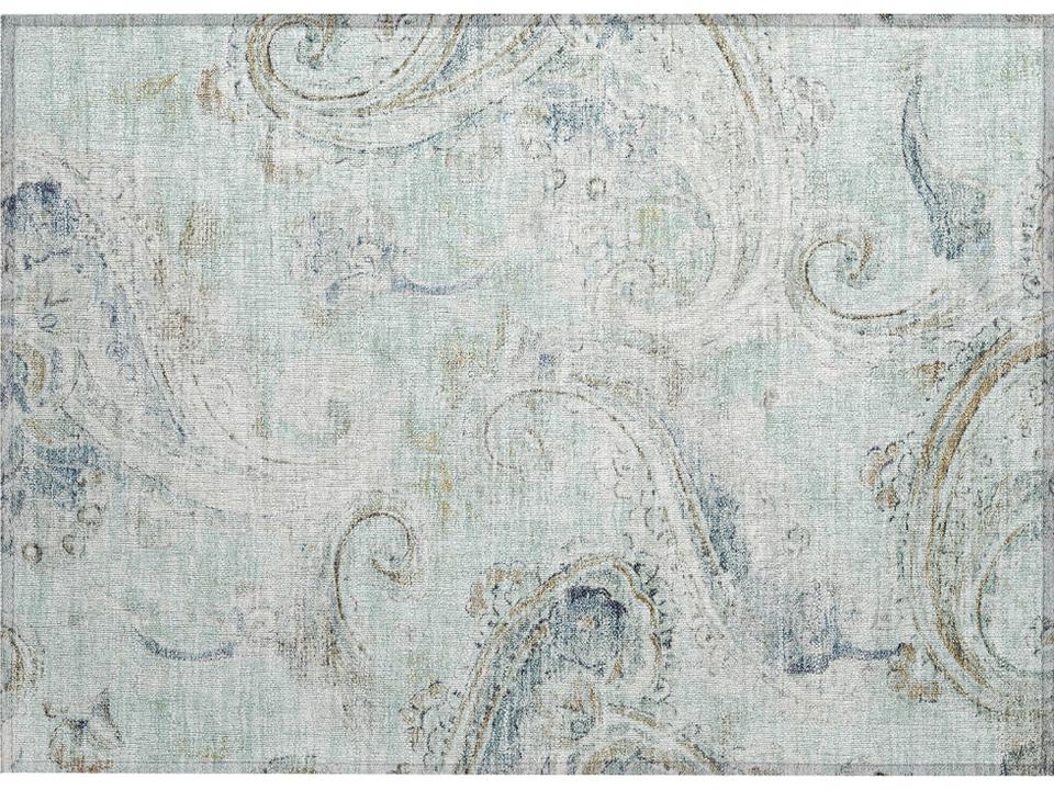 Chantille Paisley Area Rug