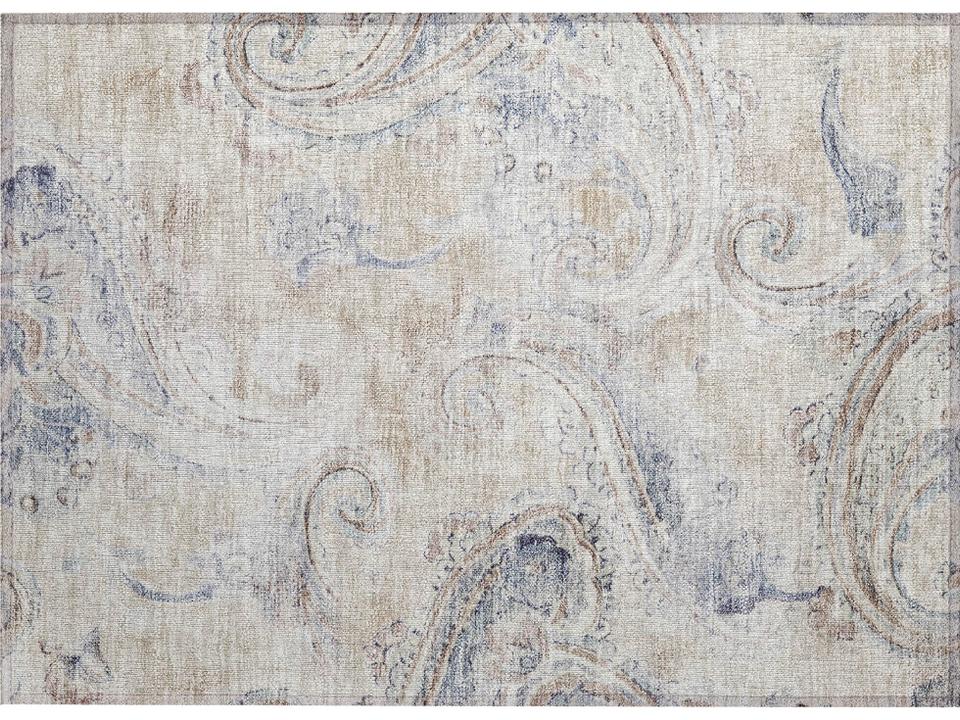 Chantille Paisley Area Rug