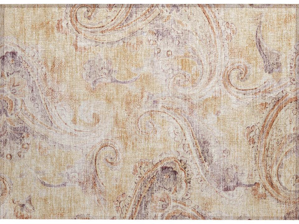 Chantille Paisley Area Rug