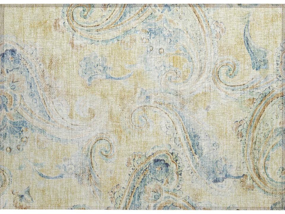 Chantille Paisley Area Rug