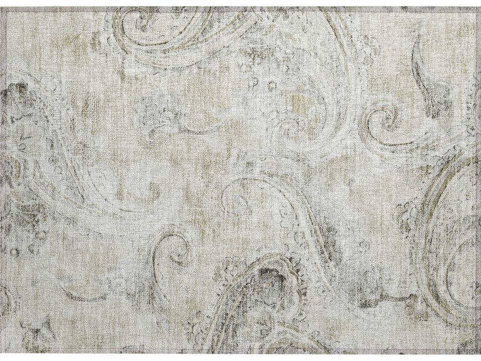 Chantille Paisley Area Rug