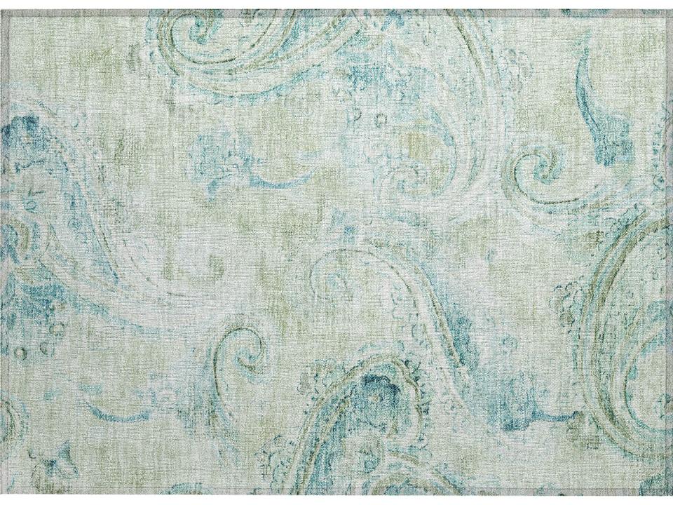 Chantille Paisley Area Rug