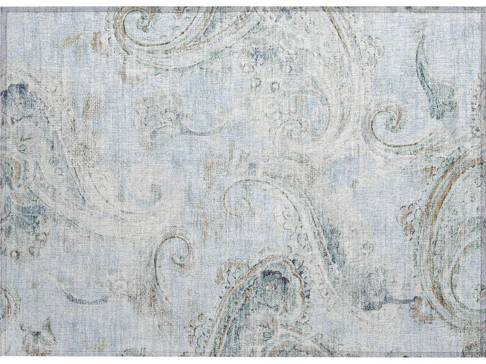 Chantille Paisley Area Rug