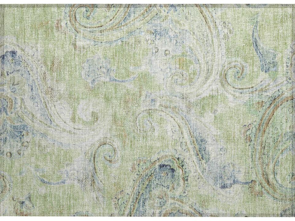 Chantille Paisley Area Rug