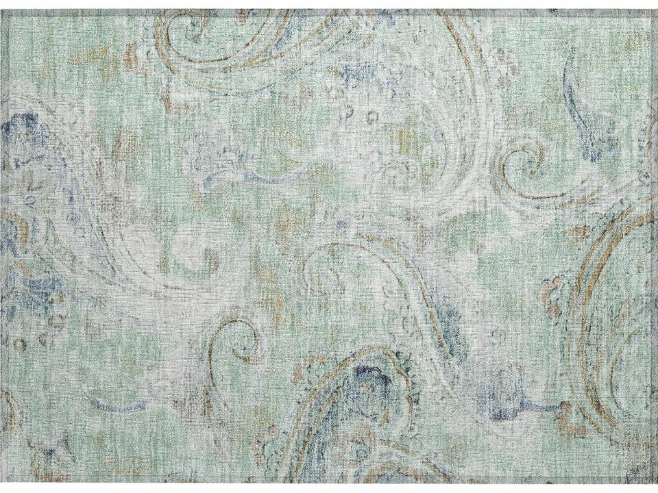 Chantille Paisley Area Rug