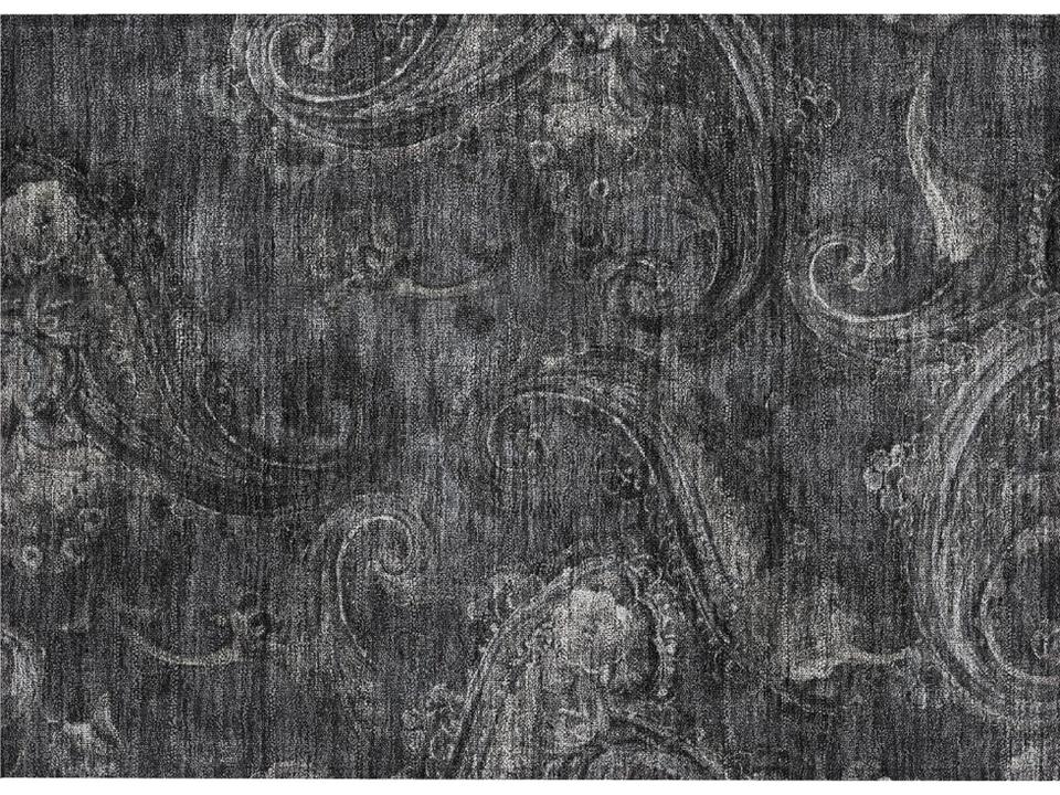 Chantille Paisley Area Rug