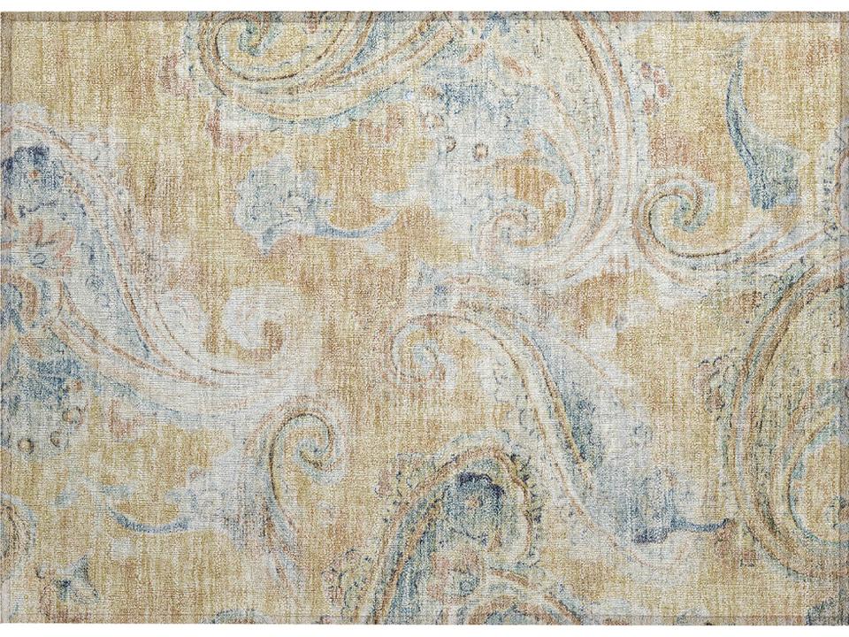 Chantille Paisley Area Rug