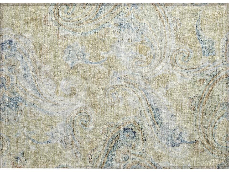 Chantille Paisley Area Rug