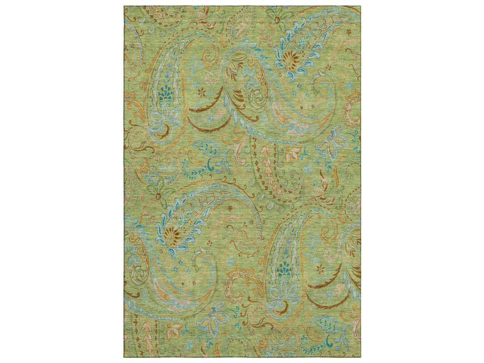 Mayfield Paisley Area Rug