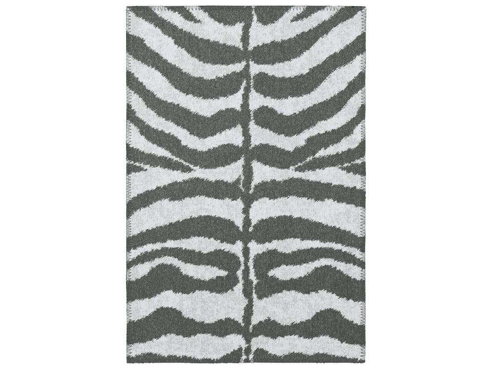 Safari