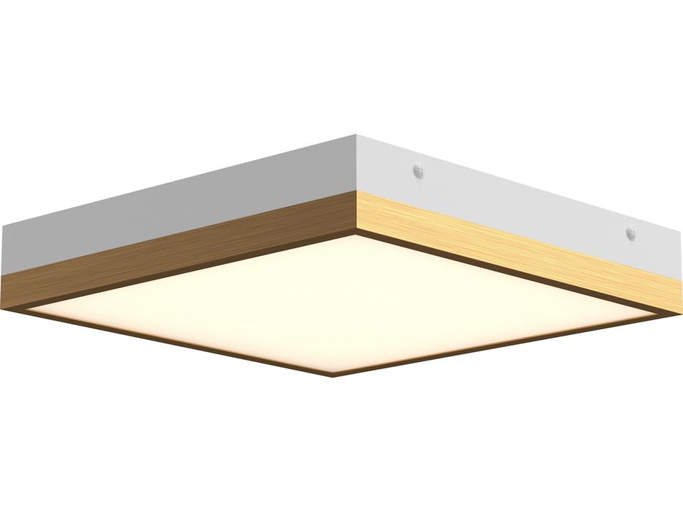 Sydney 11-Inch LED Flush Mount in Aged Gold-White with Frosted Glass