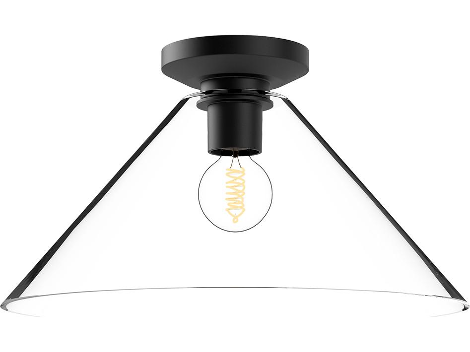 Salem 1-Light Flush Mount Ceiling Light with Clear Glass in Matte Black
