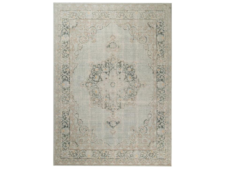 Century Collection Transitional Power-Loomed Area Rug in Mist