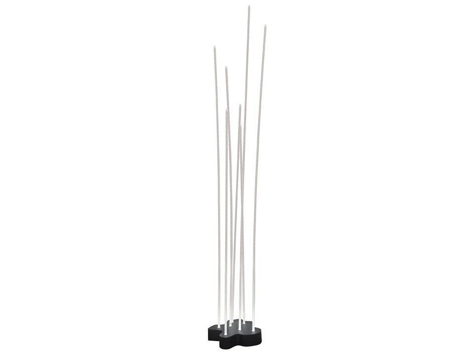 Reeds 7-Light Outdoor LED Floor Lamp in Anthracite Grey