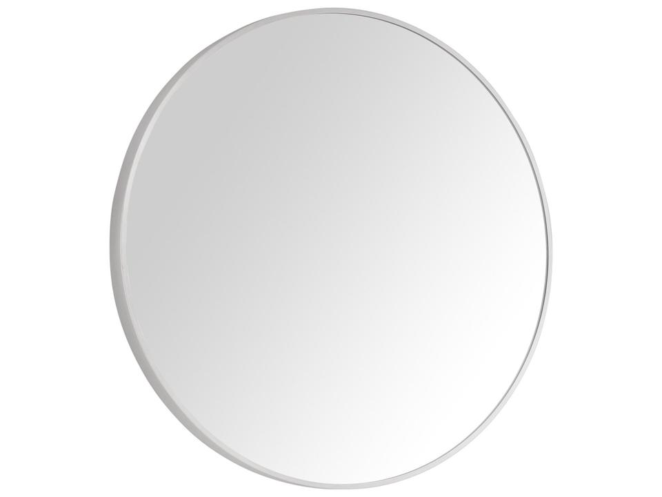 Avon 24 in. Bathroom Mirror with Stainless Steel Metal Frame