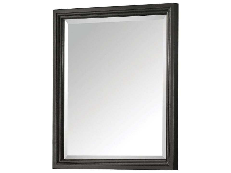 Thompson 28 in. Bathroom Mirror in Charcoal Glaze