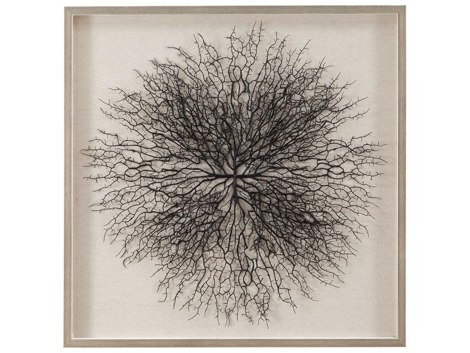 Gracee Wall Art Natural Sea Fan Shadow Box Silver Frame