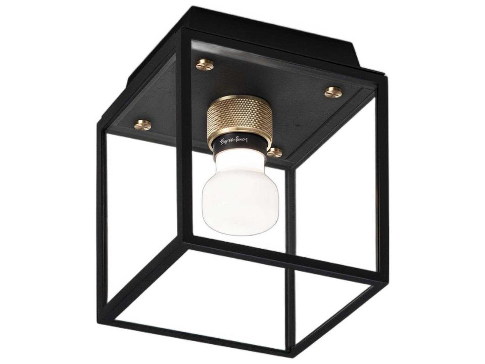 Caged 1-Light Wet Flush Mount Ceiling Light in Matte Black Glass and Stainless Steel