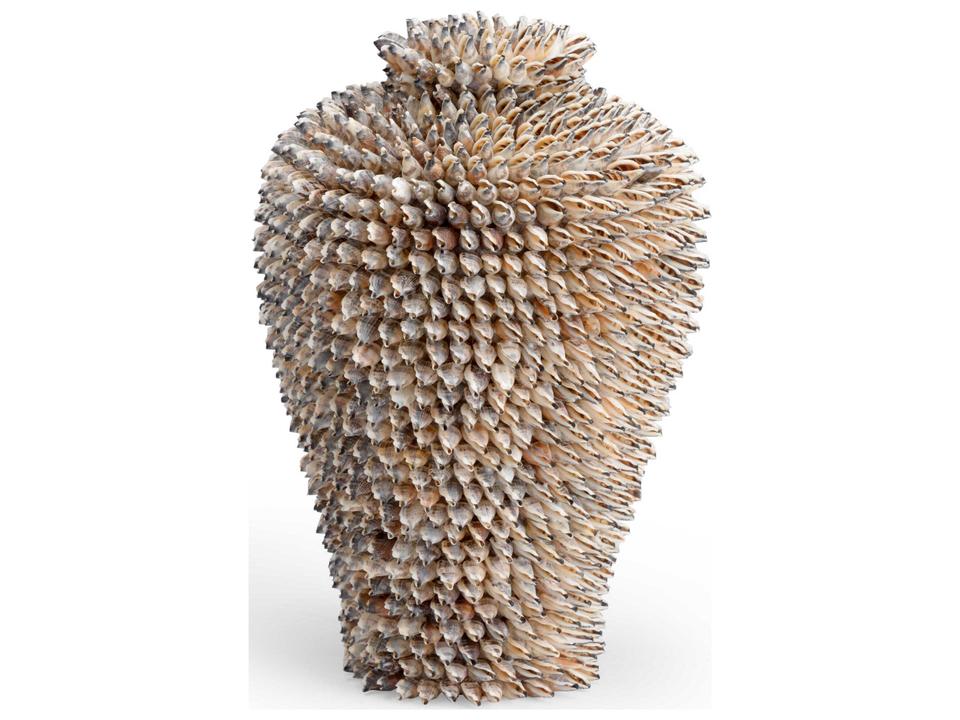 Strombus Shell Vase in Natural White