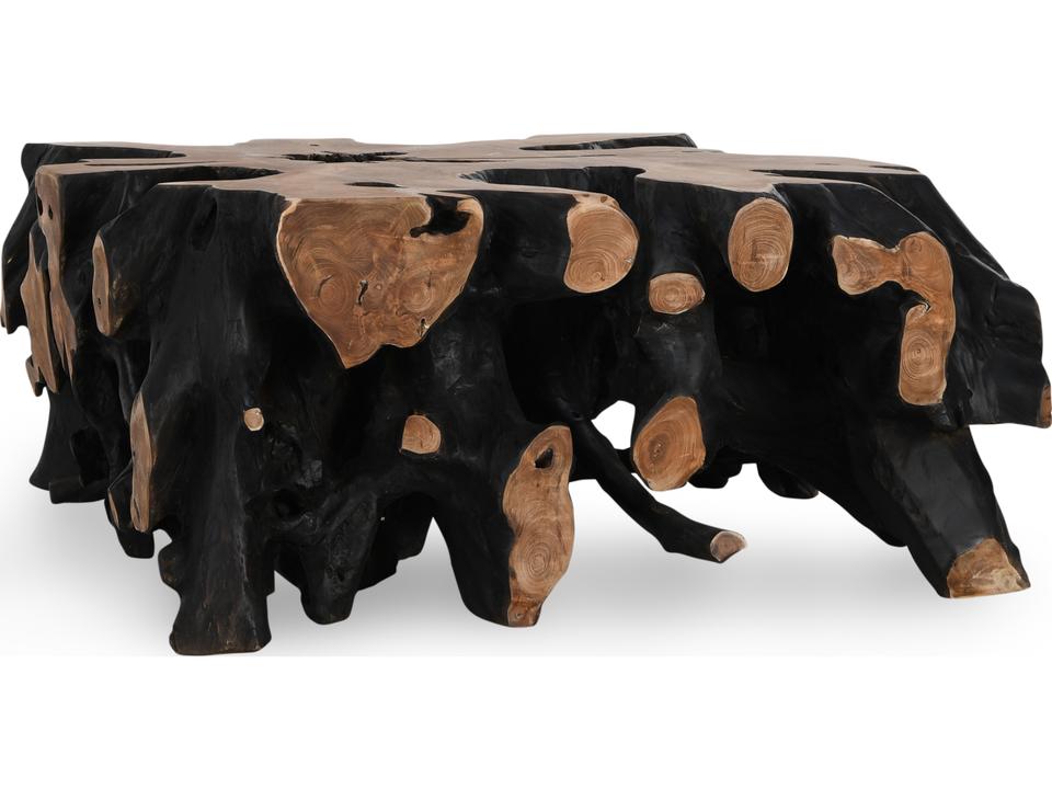 Cypress Root 41-Inch Square Coffee Table in Black Natural Teak Root