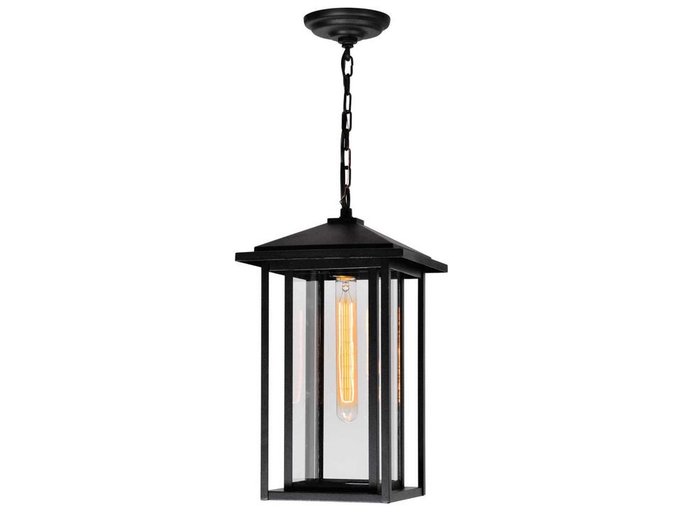 Crawford 1-Light Metal and Glass Outdoor Hanging Light in Black