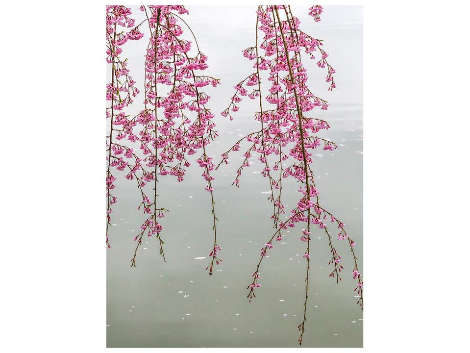 Landscape Pattern Sprawl Wall Art