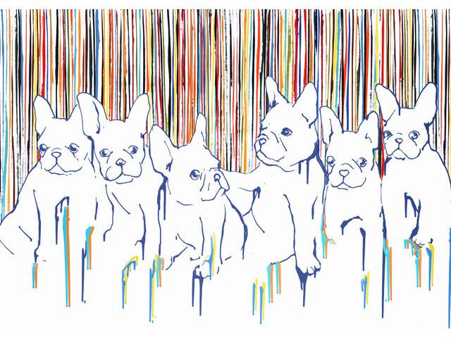 Colorful Litter Wall Art