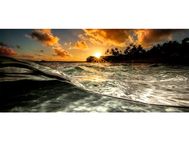 Aloha Sunrise Wall Art