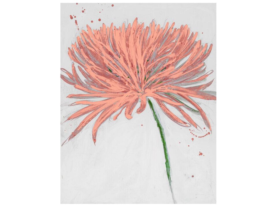 Floral Collection Blush Bloom Wall Art