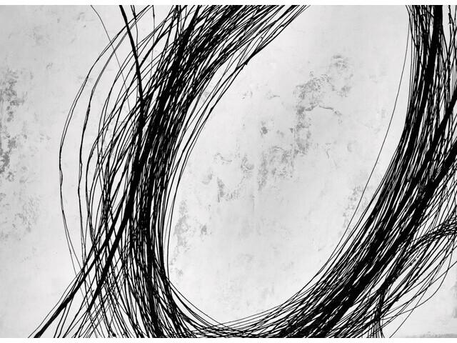 Whorl Wall Art