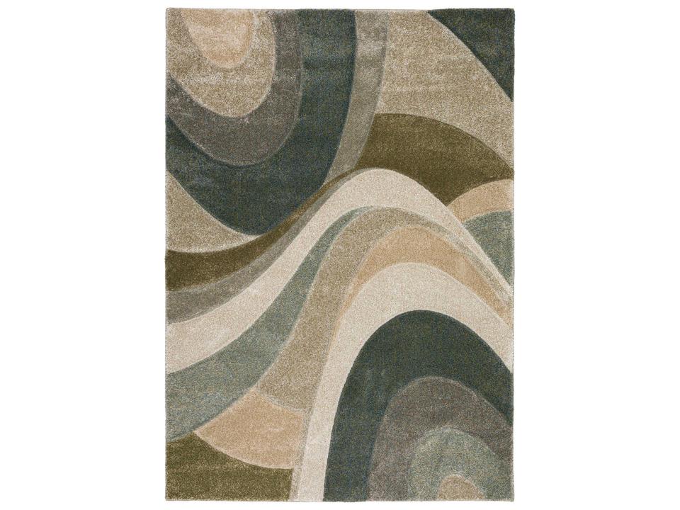 Carmona Abstract Area Rug with Fernway Pattern
