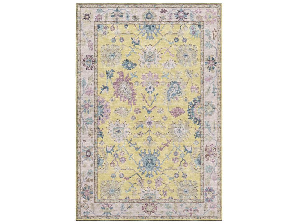 Hatay Bordered Area Rug