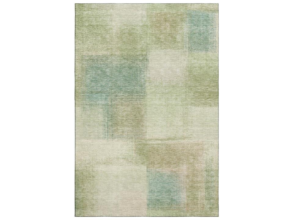 Trevi Machine Washable Area Rug in Fern
