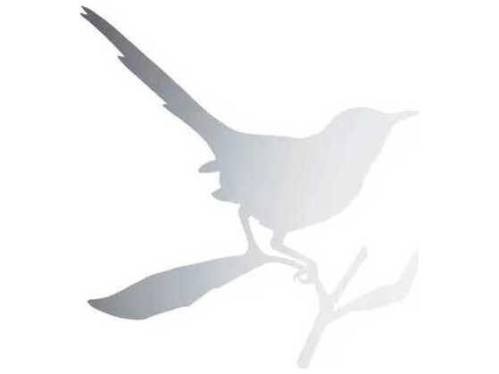 Ed Annink Poloshed Stainless Steel Wall Mirror