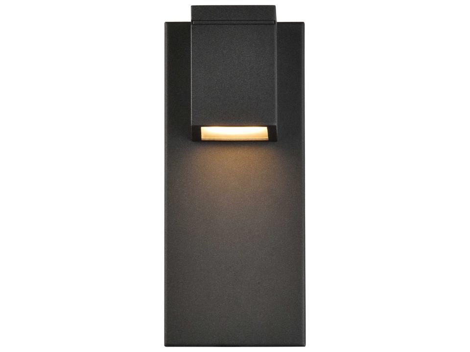Raine 1-Light LED Outdoor Wall Light in Black