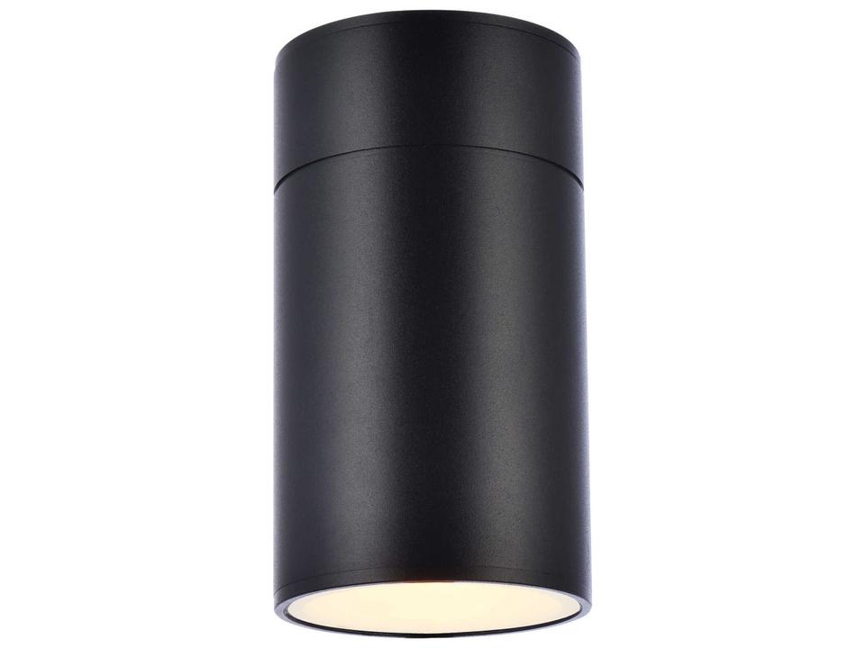 Raine Glass LED 1-Light Outdoor Wall Sconce in Black