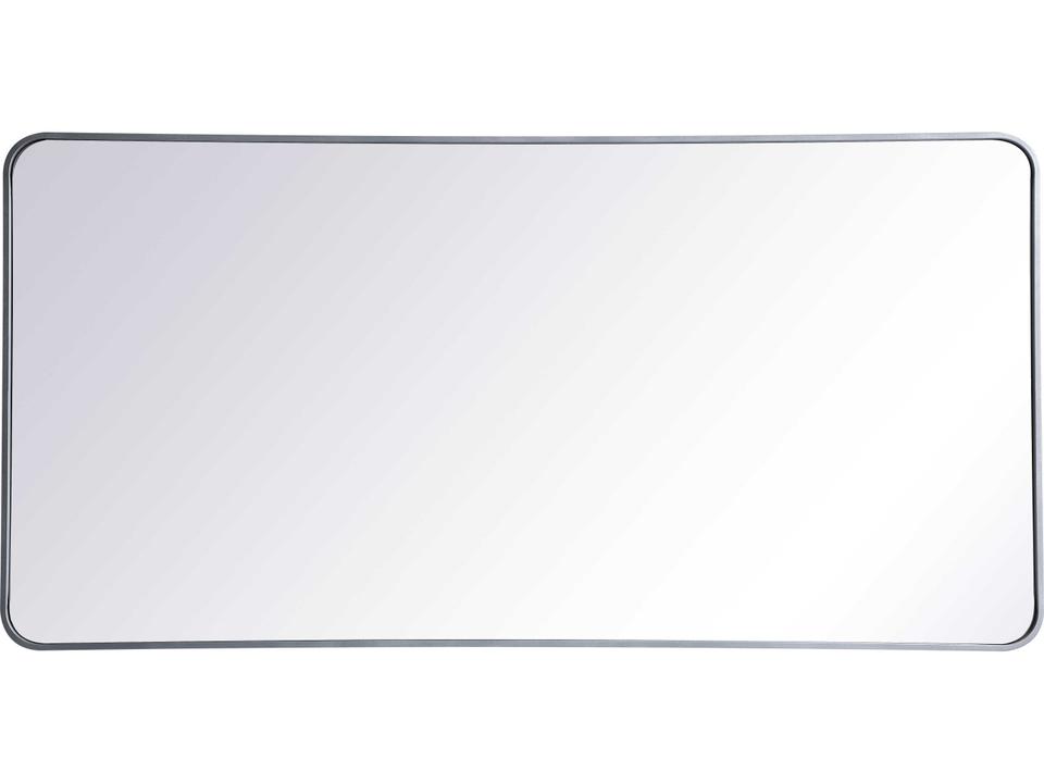 Evermore Silver Rectangular Wall Mirror 30x60 Inches