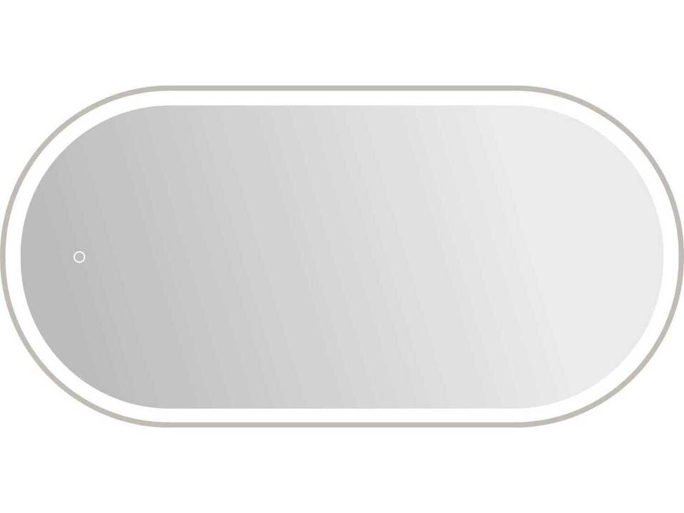 Harmoni 24x48 Inch Oval LED Wall Mirror in Silver
