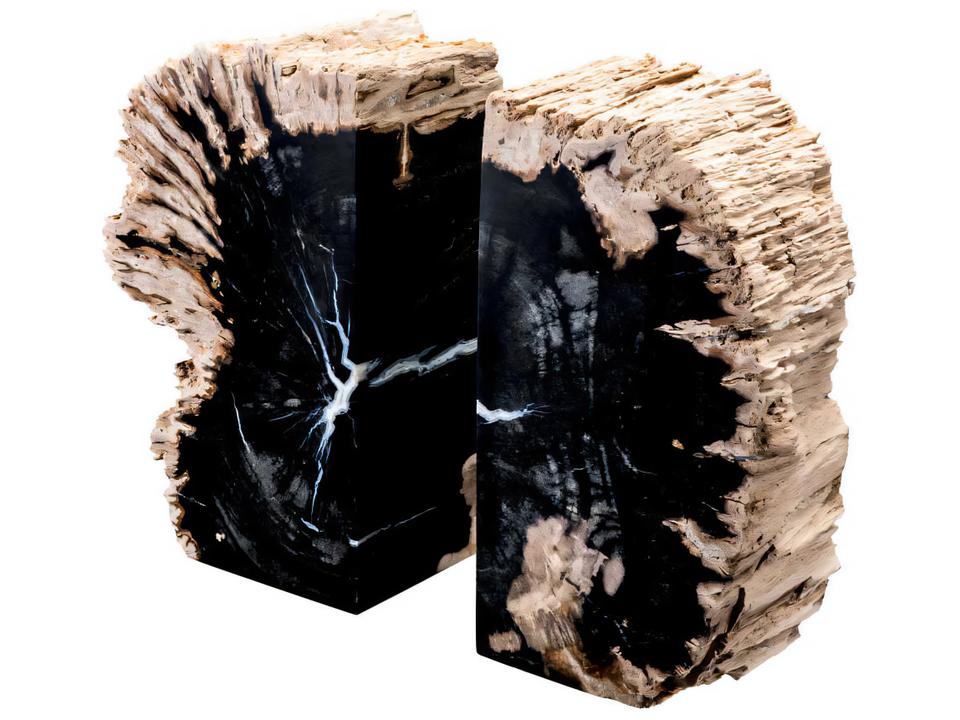 Opia Petrified Wood Set of 2 Bookend