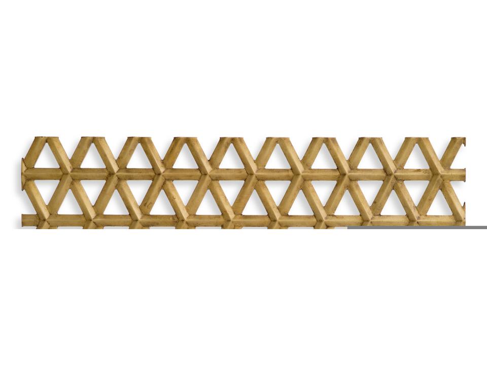 Aureus