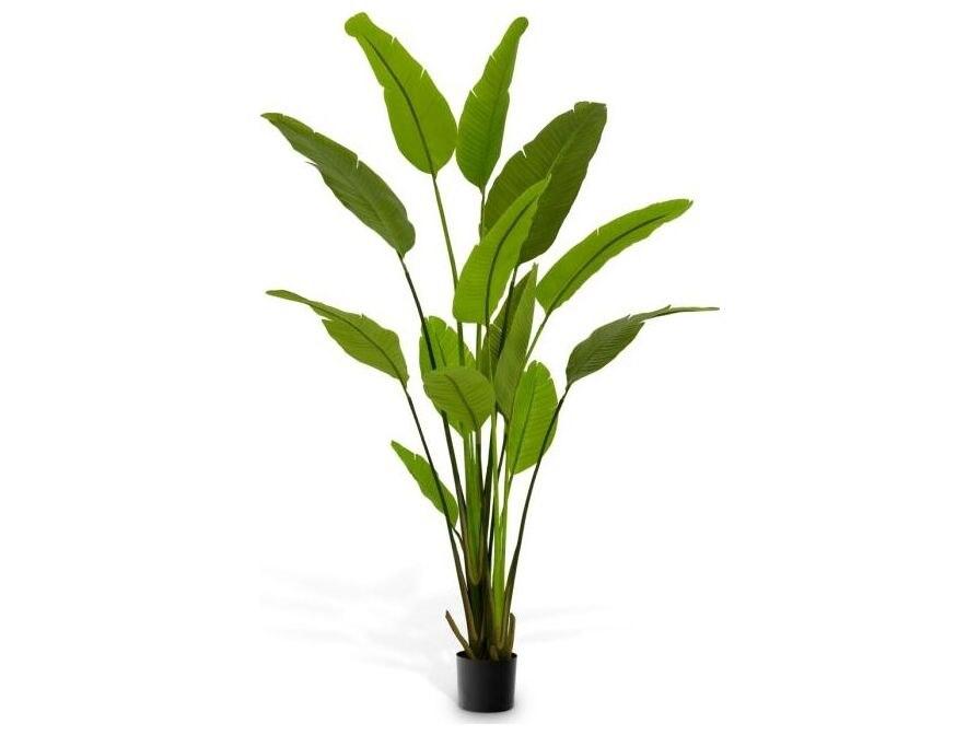 Ethnicraft Artificial Plant Strelitzia M Green