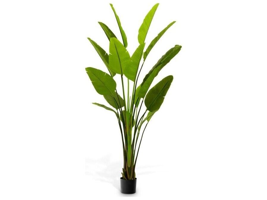 Ethnicraft Artificial Plant Strelitzia L Green