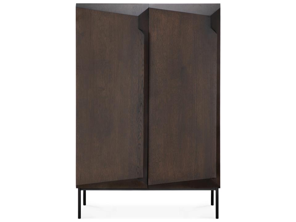 Stairs Cupboard Varnished Oak Brown 2 Doors