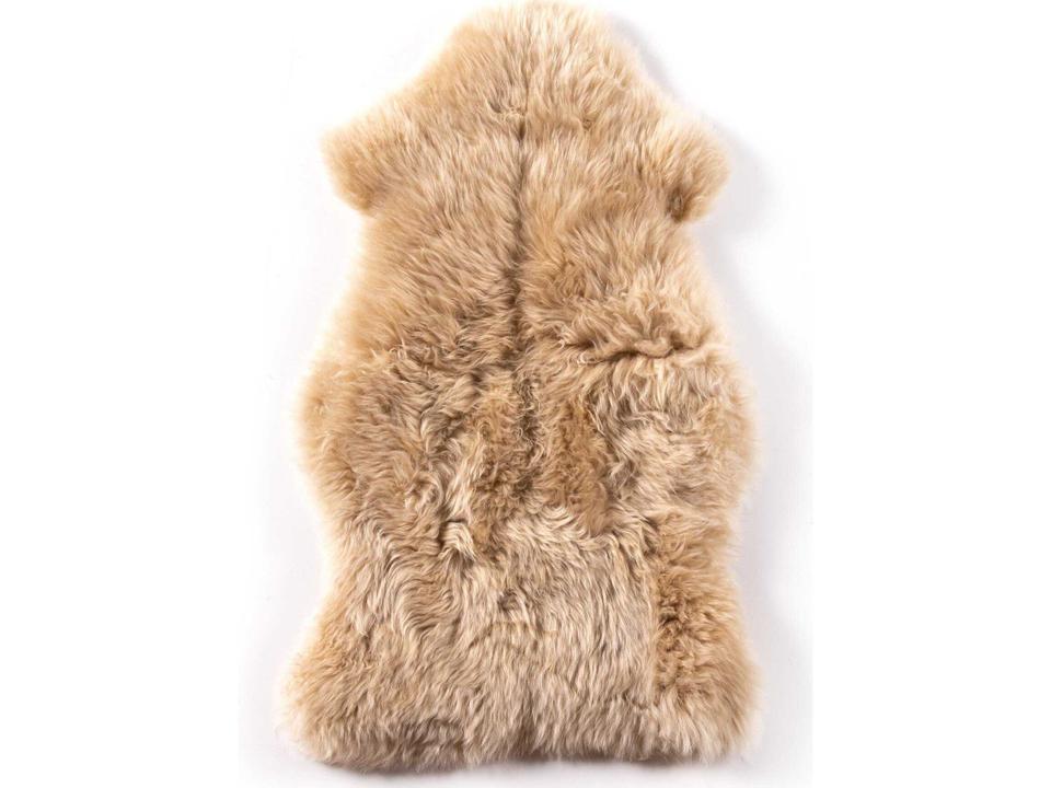 Mateo Area Rug