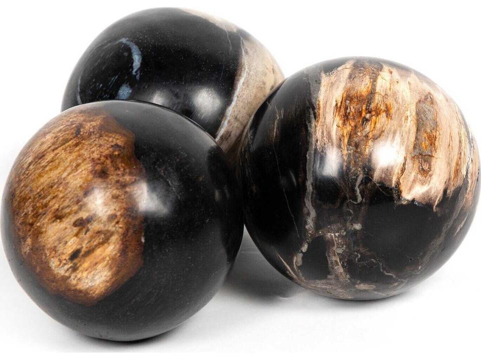 Palu Dark Petrified Wood Balls, Set Of 3