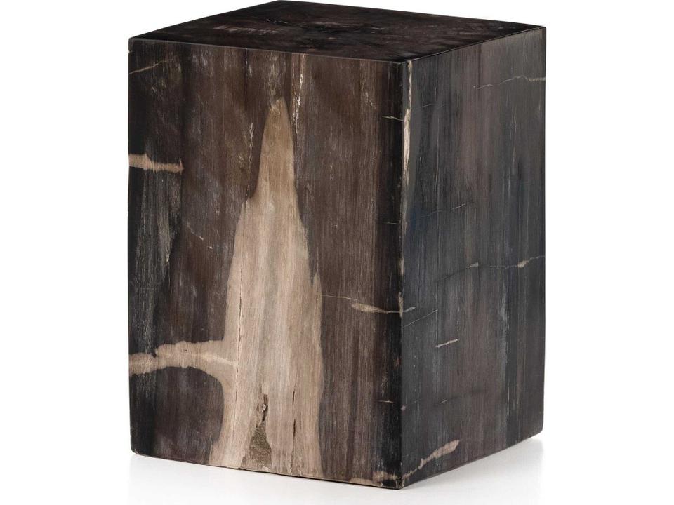 Palu Buck Square Dark Petrified Wood End Table