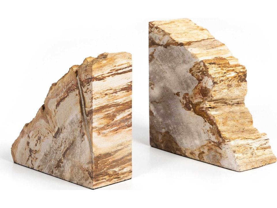 Palu Light Petrified Wood Bookends