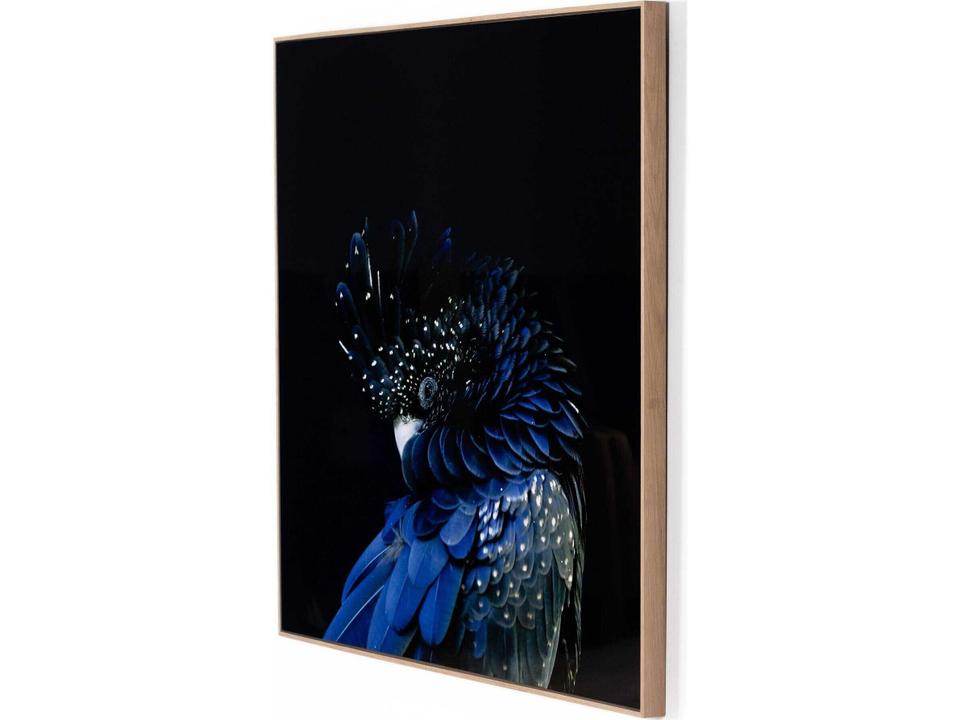 Art Studio Red-Tailed Black Cockatoo Wall Art with White Oak Floater Frame