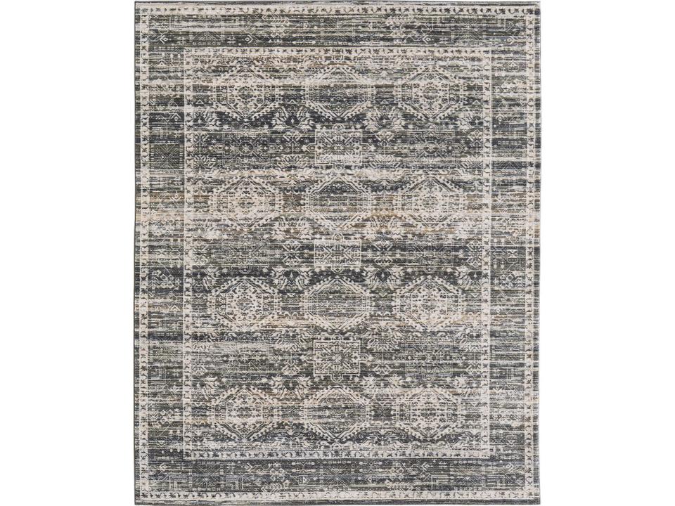 Fillmore Bordered Area Rug