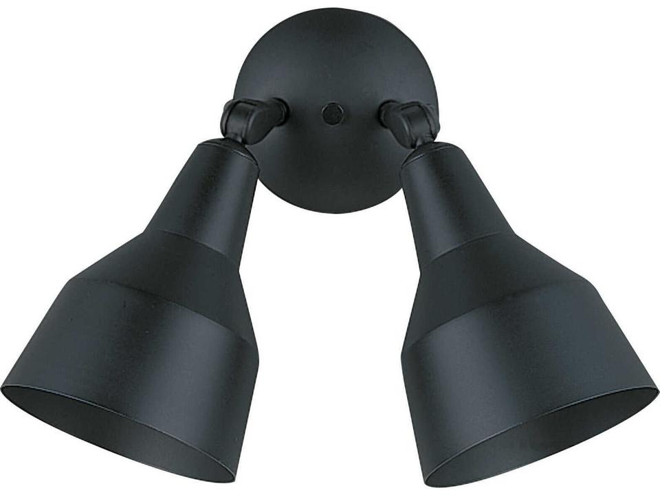 2-Light Flood Light in Black